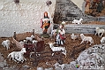 VBS_8404 - Presepe Chiesa di Martinetta Natale 2024